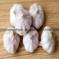 2016 New Crop Frischer Knoblauch aus China (Top-Qualität)